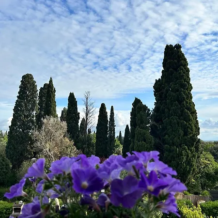 Appartement A Pochi Passi Dal Centro Bolgheri